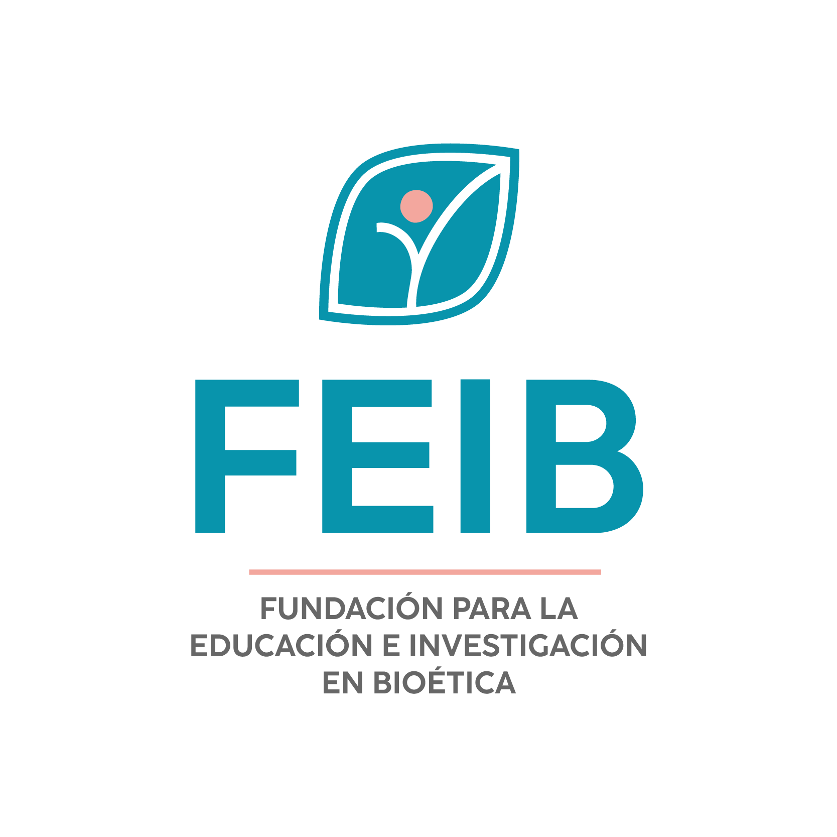 Aulas  Virtuales Fundación Feib