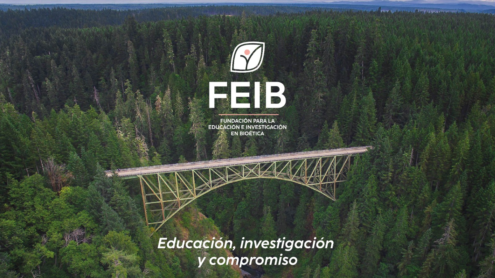 Aulas Virtuales Fundación Feib